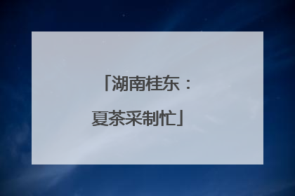 湖南桂东：夏茶采制忙