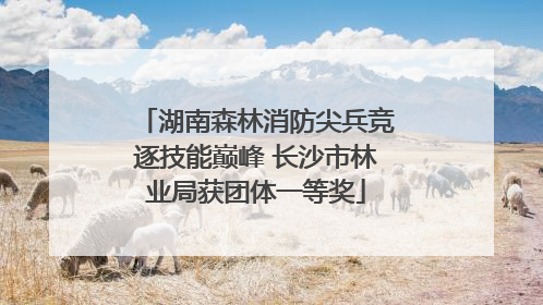 湖南森林消防尖兵竞逐技能巅峰 长沙市林业局获团体一等奖