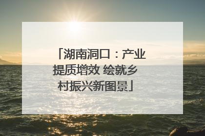 湖南洞口：产业提质增效 绘就乡村振兴新图景