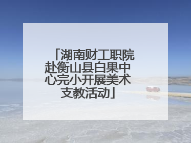 湖南财工职院赴衡山县白果中心完小开展美术支教活动
