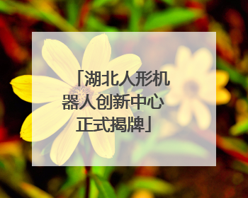 湖北人形机器人创新中心正式揭牌