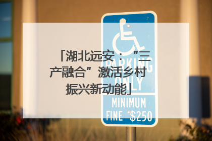湖北远安：“三产融合”激活乡村振兴新动能