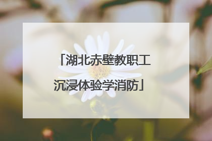 湖北赤壁教职工沉浸体验学消防