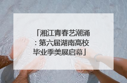 湘江青春艺潮涌：第六届湖南高校毕业季美展启幕