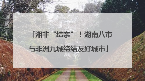 湘非“结亲”！湖南八市与非洲九城缔结友好城市