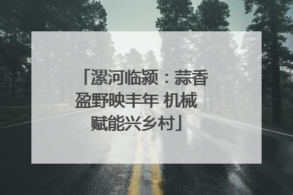 漯河临颍：蒜香盈野映丰年 机械赋能兴乡村