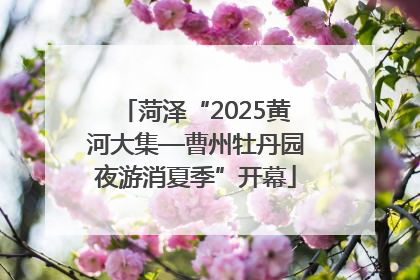 菏泽“2025黄河大集—曹州牡丹园夜游消夏季”开幕