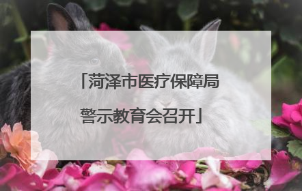 菏泽市医疗保障局警示教育会召开
