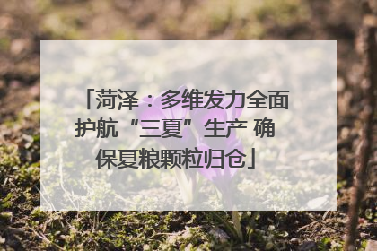 菏泽：多维发力全面护航“三夏”生产 确保夏粮颗粒归仓