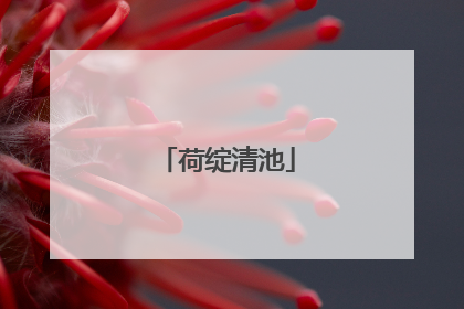 荷绽清池
