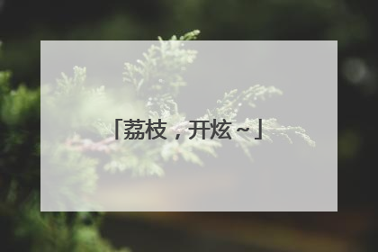 荔枝，开炫～