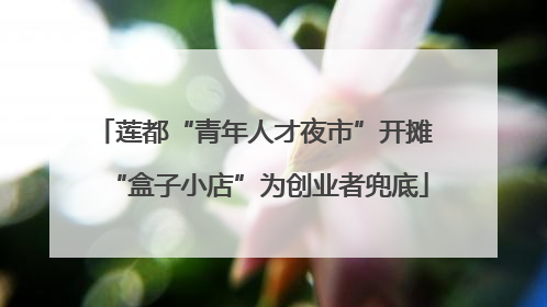 莲都“青年人才夜市”开摊 “盒子小店”为创业者兜底