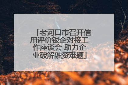 老河口市召开信用评价银企对接工作座谈会 助力企业破解融资难题