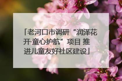 老河口市调研“润泽花开·童心护航”项目 推进儿童友好社区建设