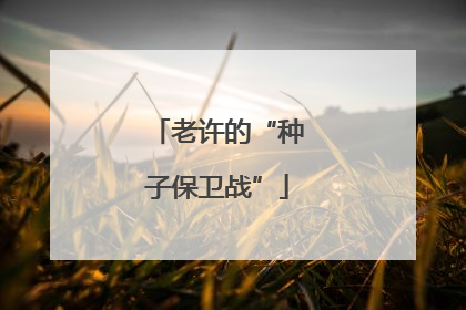 老许的“种子保卫战”