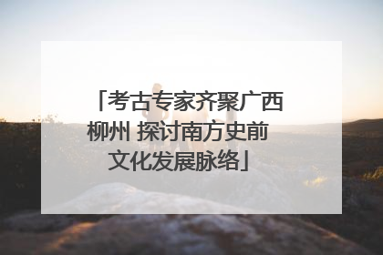 考古专家齐聚广西柳州 探讨南方史前文化发展脉络