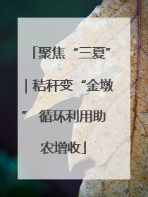 聚焦“三夏”｜秸秆变“金墩” 循环利用助农增收