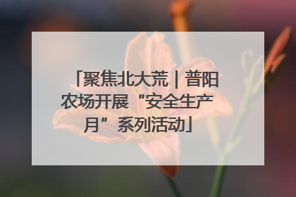 聚焦北大荒｜普阳农场开展“安全生产月”系列活动