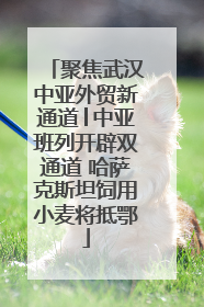 聚焦武汉中亚外贸新通道│中亚班列开辟双通道 哈萨克斯坦饲用小麦将抵鄂