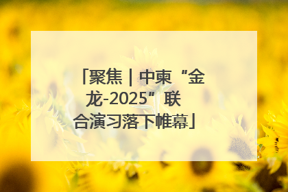 聚焦｜中柬“金龙-2025”联合演习落下帷幕