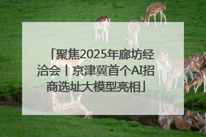 聚焦2025年廊坊经洽会丨京津冀首个AI招商选址大模型亮相
