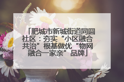 肥城市新城街道同圆社区：夯实“小区融合共治”根基做优“物网融合一家亲”品牌