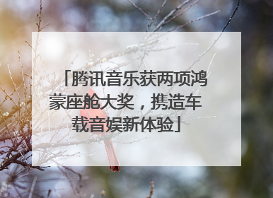 腾讯音乐获两项鸿蒙座舱大奖，携造车载音娱新体验