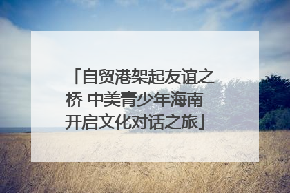 自贸港架起友谊之桥 中美青少年海南开启文化对话之旅