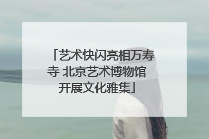 艺术快闪亮相万寿寺 北京艺术博物馆开展文化雅集