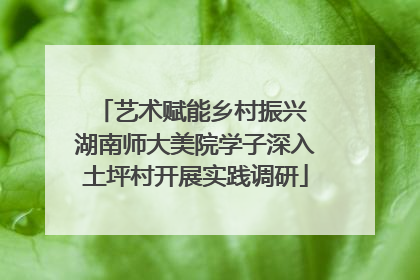 艺术赋能乡村振兴 湖南师大美院学子深入土坪村开展实践调研