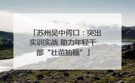 苏州吴中胥口：突出实训实战 助力年轻干部“壮苗抽穗”