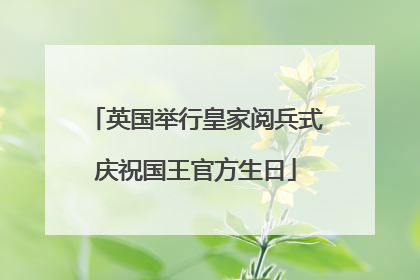 英国举行皇家阅兵式庆祝国王官方生日