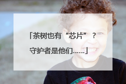 茶树也有“芯片”？守护者是他们……
