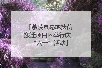 茶陵县易地扶贫搬迁项目区举行庆“六一”活动