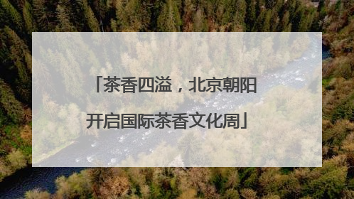 茶香四溢，北京朝阳开启国际茶香文化周
