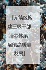 茅箭区构建三级干部培养体系 赋能高质量发展