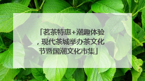 茗茶特惠+潮趣体验，现代茶城举办茶文化节暨国潮文化市集