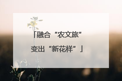 融合“农文旅” 变出“新花样”