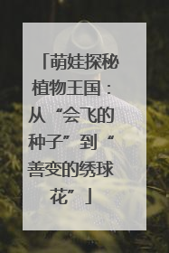 萌娃探秘植物王国：从“会飞的种子”到“善变的绣球花”