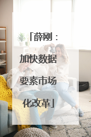 薛刚：加快数据要素市场化改革