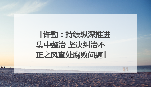 许勤：持续纵深推进集中整治 坚决纠治不正之风查处腐败问题