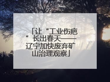 让“工业伤疤”长出春天——辽宁加快废弃矿山治理观察