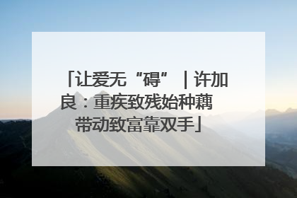 让爱无“碍”｜许加良：重疾致残始种藕 带动致富靠双手