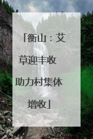 衡山：艾草迎丰收 助力村集体增收