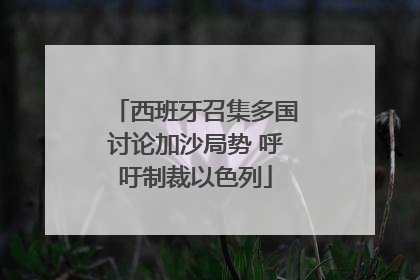 西班牙召集多国讨论加沙局势 呼吁制裁以色列