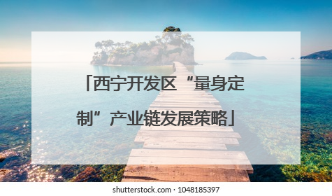 西宁开发区“量身定制”产业链发展策略