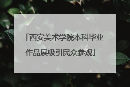 西安美术学院本科毕业作品展吸引民众参观