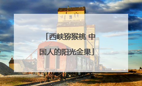 西峡猕猴桃 中国人的阳光金果