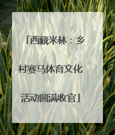 西藏米林：乡村赛马体育文化活动圆满收官