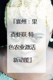 襄州：果香虾跃 特色农业激活新动能
